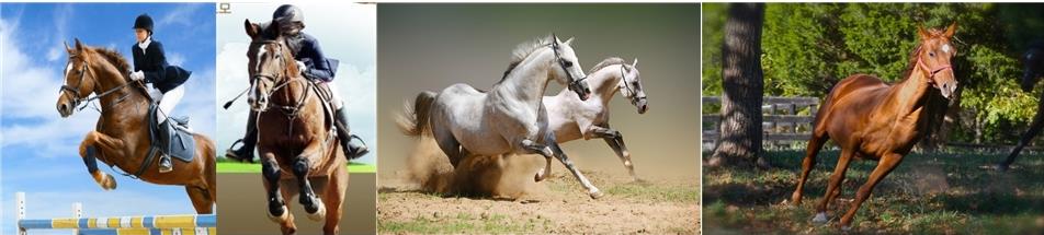 f3952b7a89a925b2cdc4b2d55f7efb24_1718243860_6338.jpg f3952b7a89a925b2cdc4b2d55f7efb24_1718243860_6338.jpg